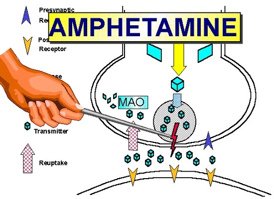 Как-работает-амфетами