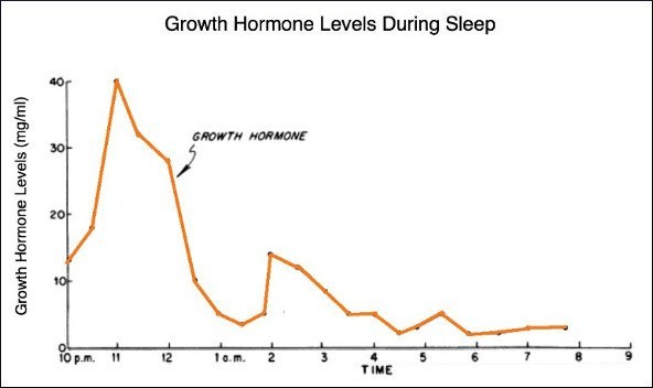 гормон роста ночь
