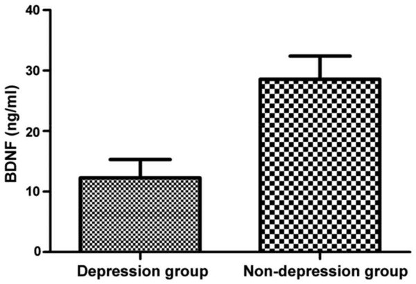 депрессия и BDNF