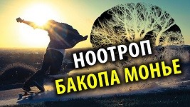 Бакопа На заметку Скоростным и Пьяным